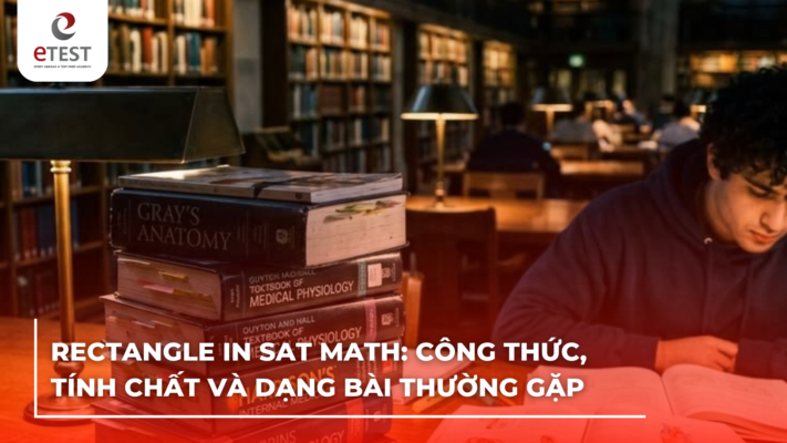 Rectangle trong bài thi SAT: Công thức, tính chất và dạng bài thường gặp