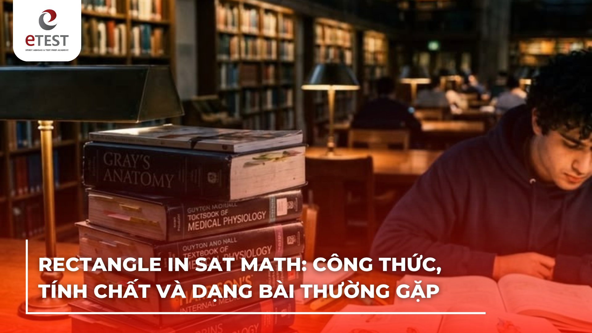Rectangle trong bài thi SAT: Công thức, tính chất và dạng bài thường gặp